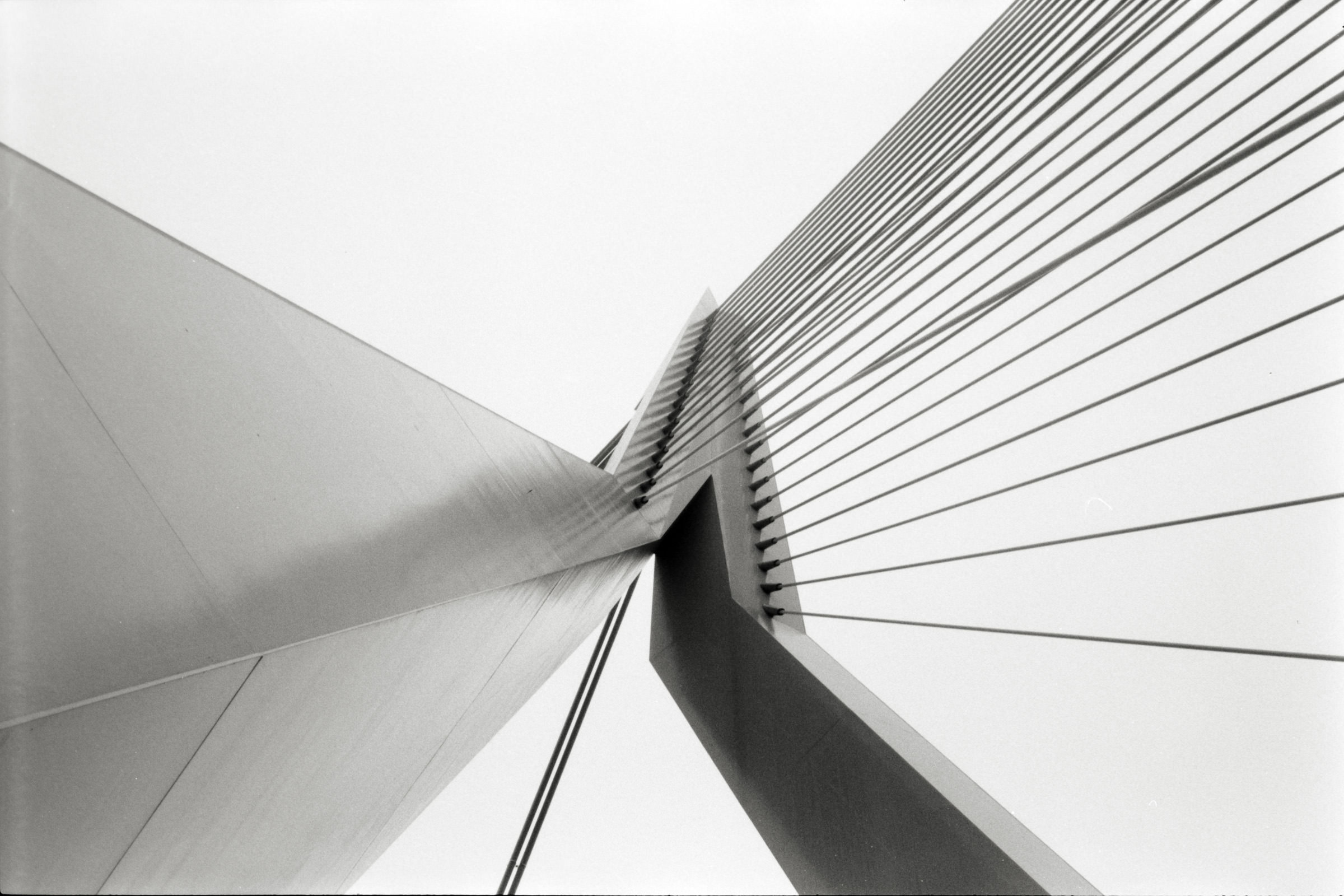 AHP F1998 05 001 sc240818 img22 NLP